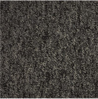  Scottsdale carbon 0246